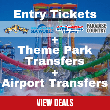 Dreamworld Theme Park Tickets with Roundtrip Transfers